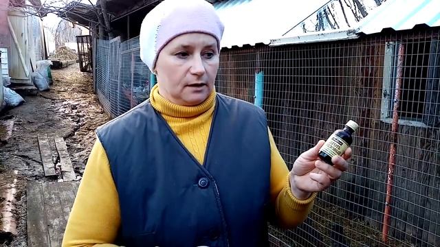 Каннибализм и расклев у кур. Причины и решение проблемы. смотреть онлайн