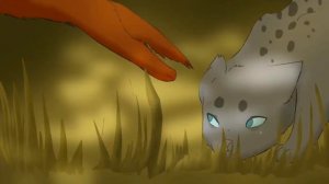 Коты-Воители (Белка и Уголек) {Любовь-это}/Warrior cats ~ Squrreilflight and Ashfur