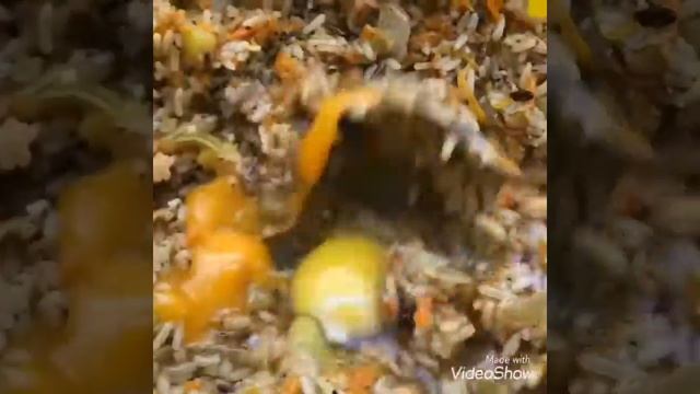 Фаршированные кальмары в казане смотреть онлайн