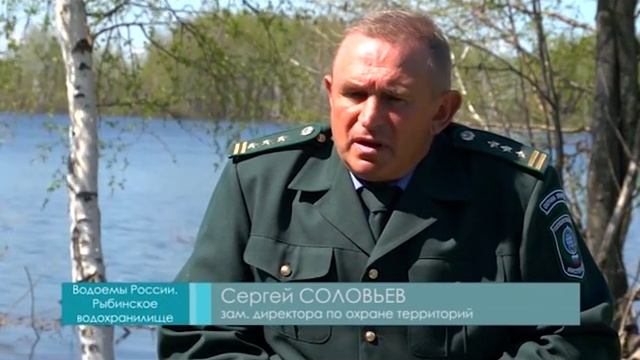 Давинский заповедник смотреть онлайн