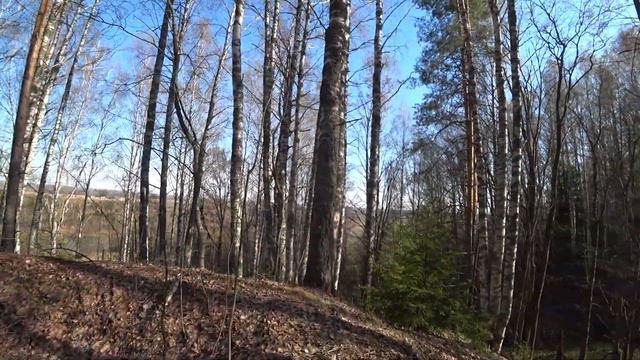 Срочно требуются зрители чтобы смотреть на меня и удивляться смотреть онлайн