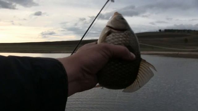 Ловля карасей весной на донку (закидушку). Карась на червя. Рыбалка на р.Ангара.Иркутск смотреть онлайн