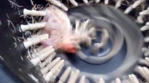 Перосьемка из Стиралки Малютка работа