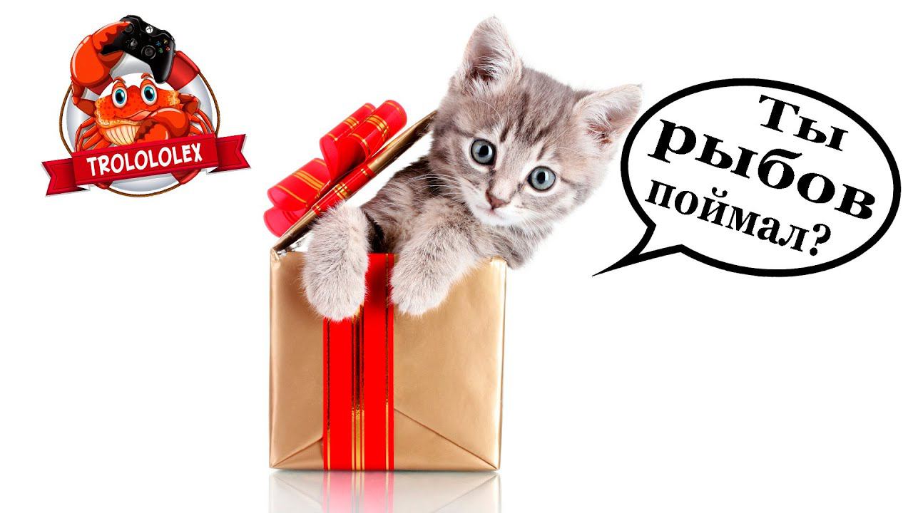 Русская рыбалка 4 Итоги розыгрыша смотреть онлайн