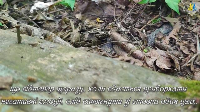 Притча про цвяхи. Не забивайте цвяхи ворожнечі, нерозуміння, жорстокості в душі людей!