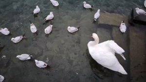 ВОСХИТИТЕЛЬНЫЙ ЛЮЦЕРН ЗИМОЙ. РОЖДЕСТВО В ШВЕЙЦАРИИ