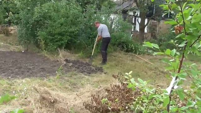 Сельская жизнь. Как избавиться от травы на участке. 2 смотреть онлайн