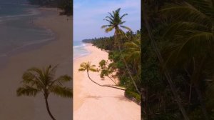 Шри-Ланка 🇱🇰 Коггала. Koggala beach 🏖️