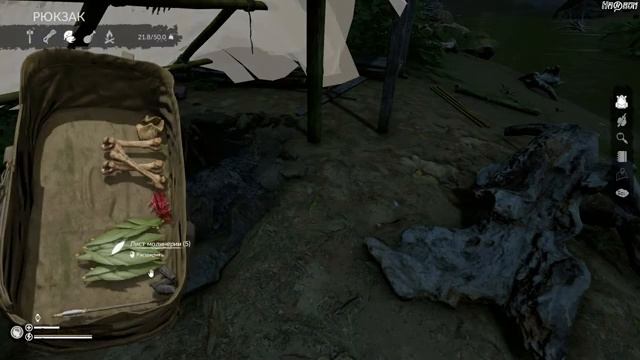 Green Hell ® Обжился #3 смотреть онлайн