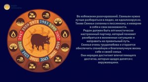 Свинья в год Свиньи. Восточный гороскоп на 2019 год
