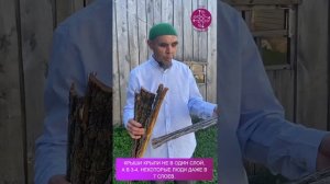 Эко-мочалка из липы.