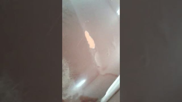 почему лопнула(треснула) шпатлёвка? смотреть онлайн