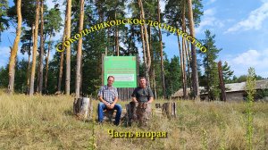 Сокольниковское лесничество  Часть вторая