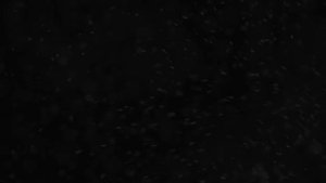 Космодесантники, кто они такие? I Warhammer 40 000 Lore