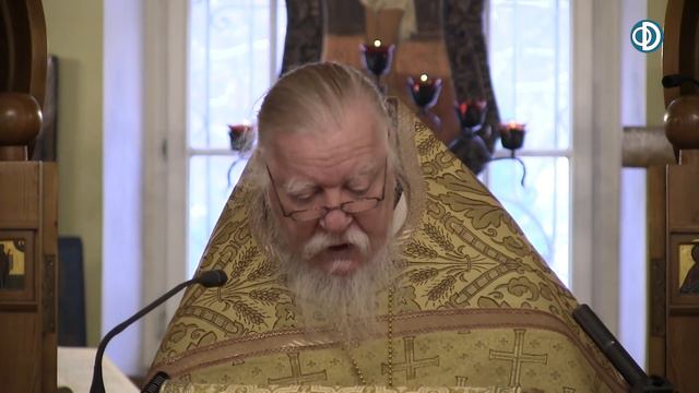 Протоиерей Димитрий Смирнов. Проповедь об исцелении и благодарности