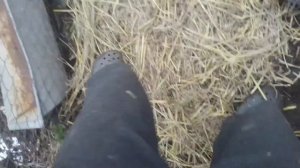 ловушка для красных червей как их привлеч