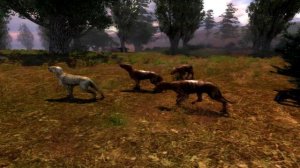 Слепой пес S.T.A.L.K.E.R. Wiki