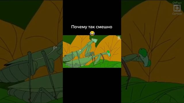 самец богомола...