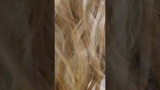 Стрижка, уход и укладка кудрявых волос смотреть онлайн