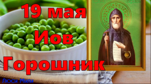 19 мая народный праздник Иов Горошник Что нельзя делать Народные традиции и приметы