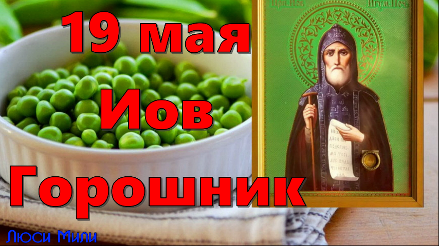 Иов горошник 19 мая картинки