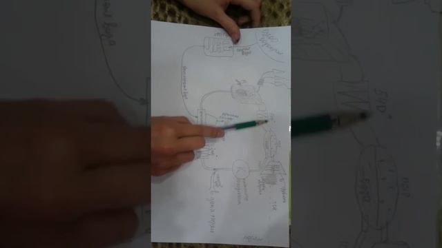 Принцип работы электростанции