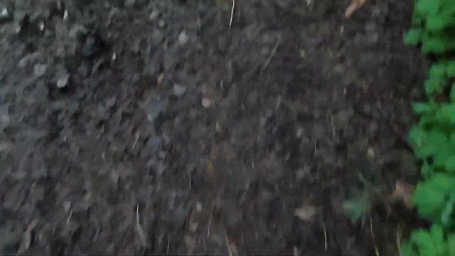 Таинственная КНС №10 в лесу!!! Смогу ли ПРОНИКНУТЬ и ИССЛЕДОВАТЬ?! смотреть онлайн