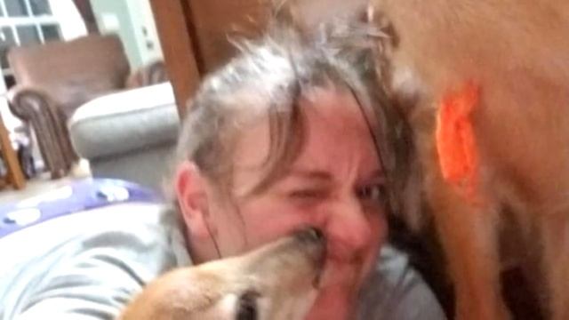 Три оленёнка забежали к женщине в гостиную перед грозой смотреть онлайн