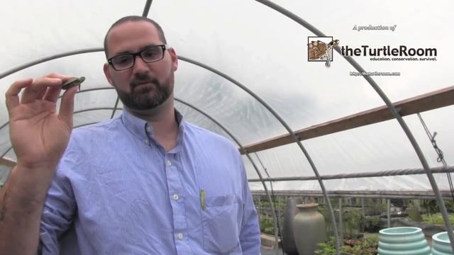 Red Eared Sliders: What You Need to Know смотреть онлайн