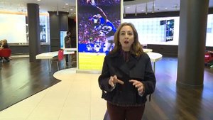 11 things to do at the Mall of America