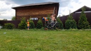 Как подстричь тую конусом / Стрижка туи на глаз / Обрезка туи / часть 3