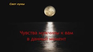 Чувства мужчины к вам в данный момент. Гадание онлайн. Гадание на картах Таро. Любовь. SHORT