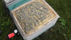 схемы обработок от клеща в 2021 г