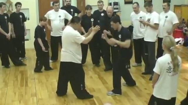 Илицюань.Основы саньда.#1