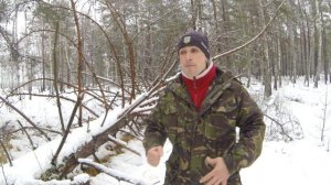 114. Породы собак которые не поддаются дрессировке. Необучаемые собаки