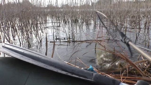 Этот карп сломал мою новую удочку. Рыбалка в октябре. My fishing смотреть онлайн
