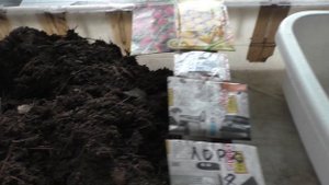 Подготовка рассадного грунта для посева клубники семенами