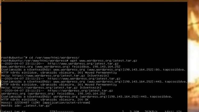 webszerver telepítése смотреть онлайн