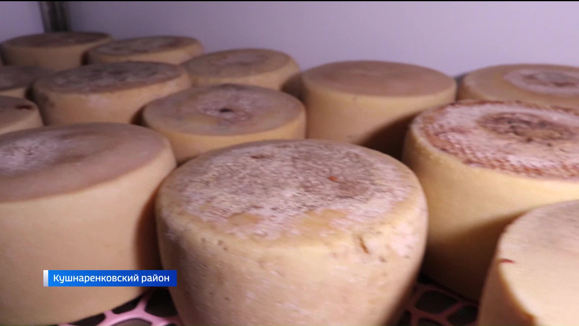 Башкирские сыровары заявили о готовности заменить своей продукцией иностранные бренды