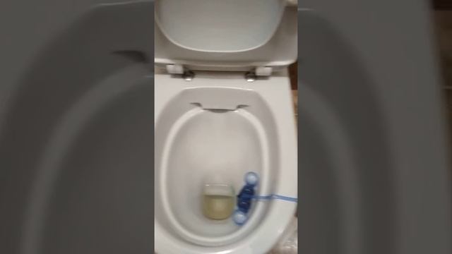 Обзор унитаза Керамин Санти R смотреть онлайн