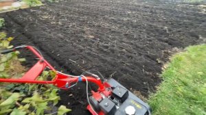 Мотоблок Агат 6,5 Хаммерман