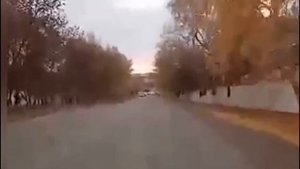 ДАВЛЕКАНОВО. 2020.