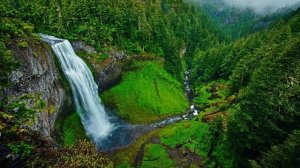 3 Hour Nature View Relaxing Music and water sound - waterfall view #meditationmusic