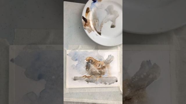 Как нарисовать птицу акварелью.
Воробей. смотреть онлайн