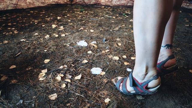 ЧИСТИМ БОЛЬШУЮ ПАЛАТКУ. РЕЗУЛЬТАТ ИНТЕРЕСНЫЙ! смотреть онлайн