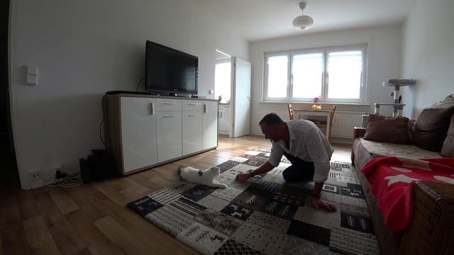 ВЛОГ/Иду на свидание/Смеюсь из-за комментов смотреть онлайн