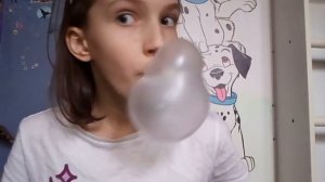 ДВОЙНОЙ ПУЗЫРЬ ИЗ ЖВАЧКИ???