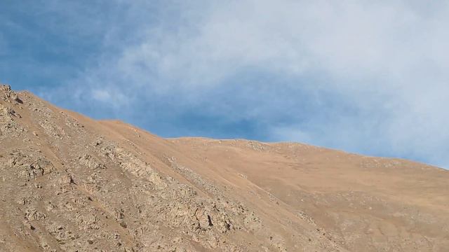 6 декабря 2023 г. смотреть онлайн