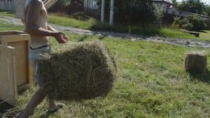 Заготовка и уборка сена мотоблоком нева мб2