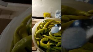 Цицак Армянский, солим перец в бочке. Часть 1.
